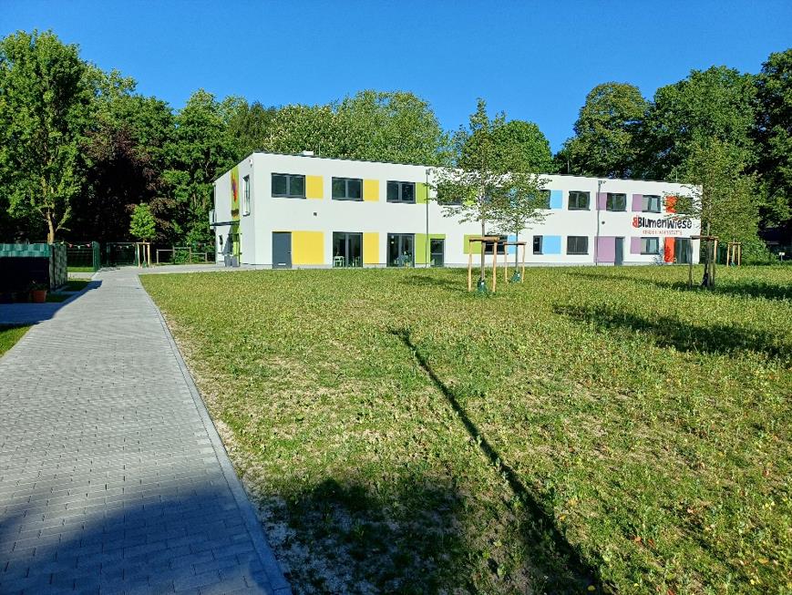 Die Blumenwiese wächst